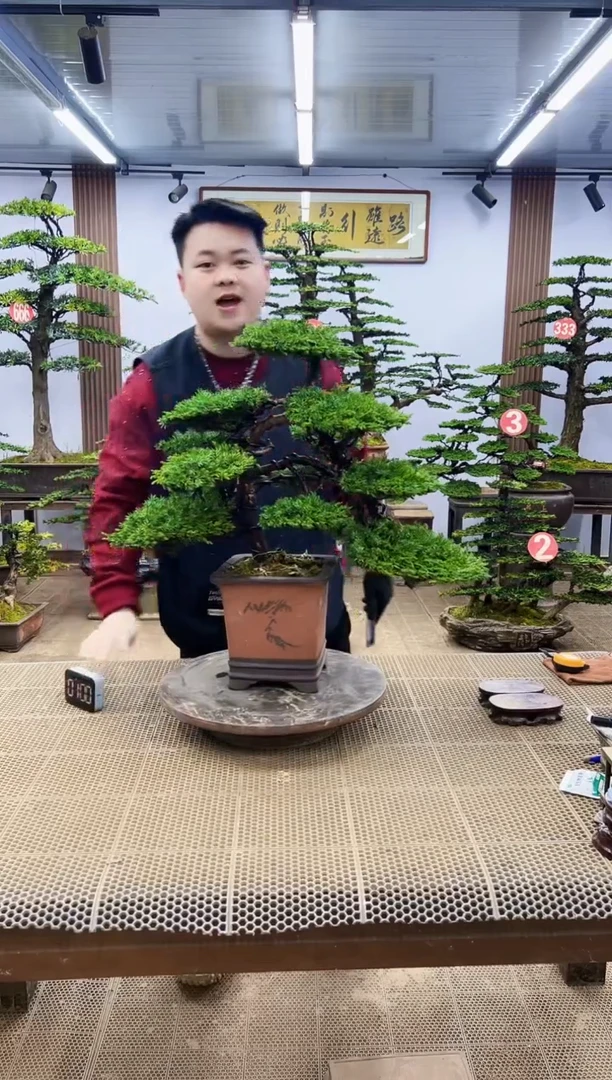 【闪购商品】00000000