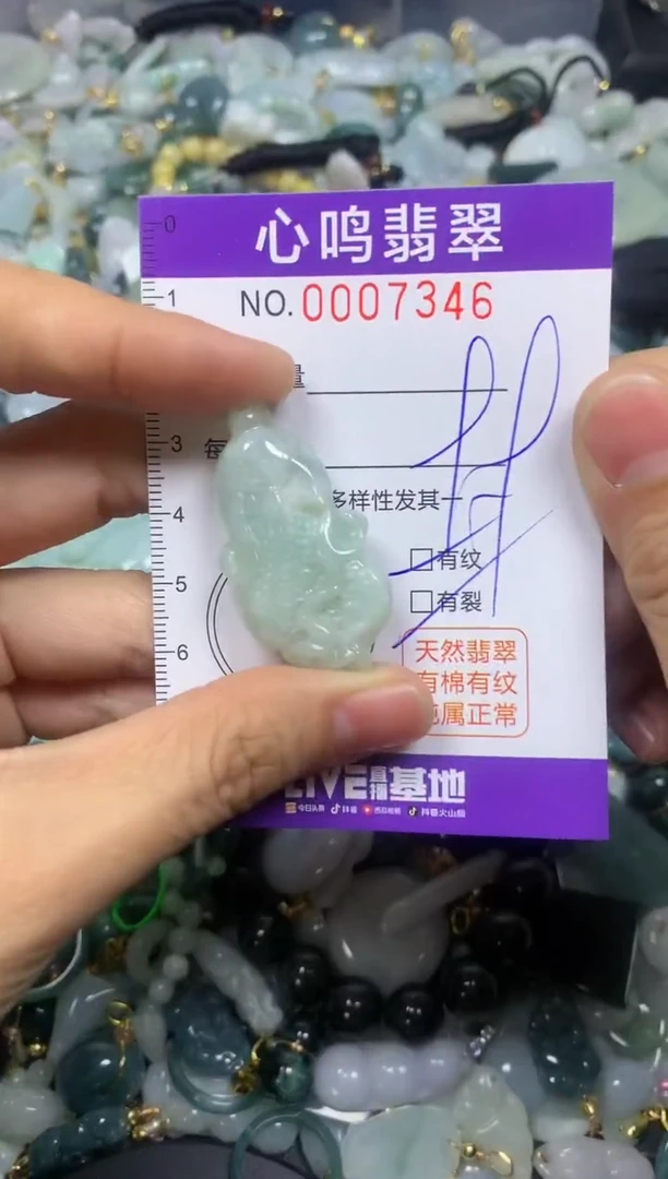 【闪购商品】翡翠颈饰未镶嵌闪购007346