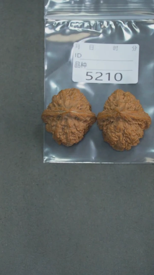 把件文玩核桃快***毛39龙脊石