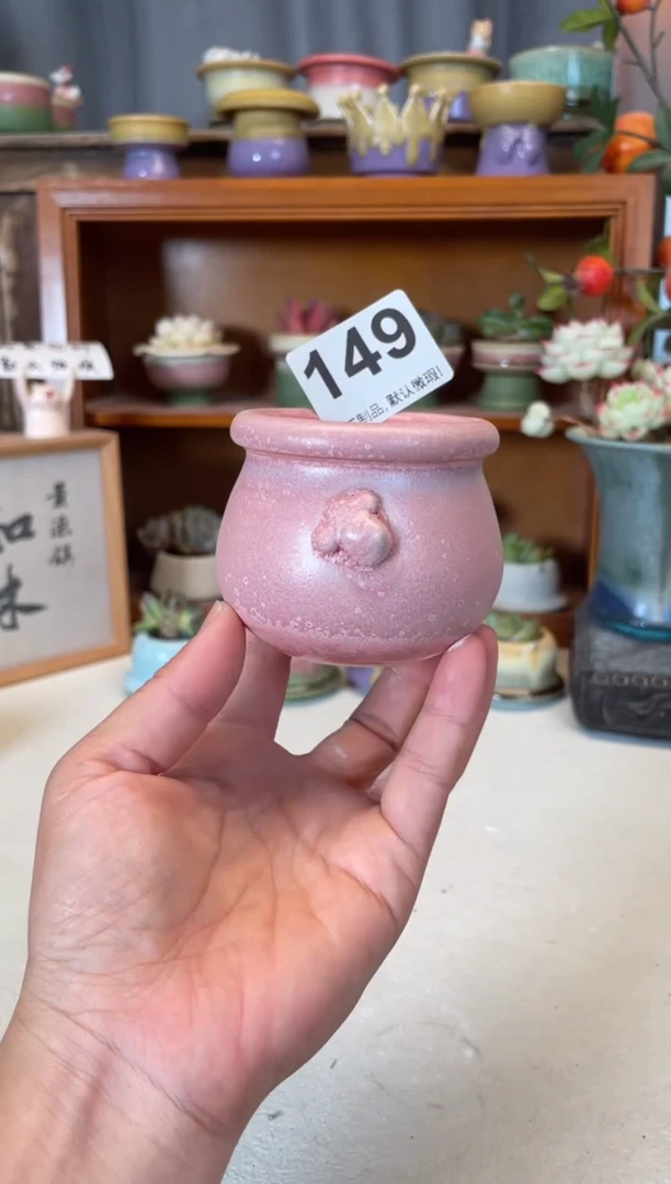 瓷片149知木小芳花盆