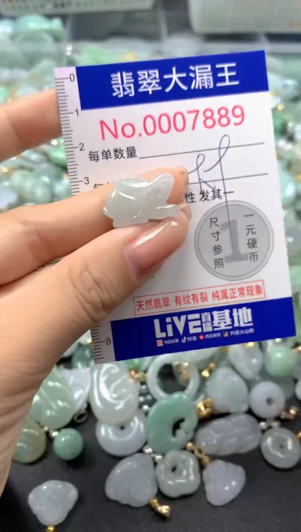 颈饰未镶嵌翡翠7889