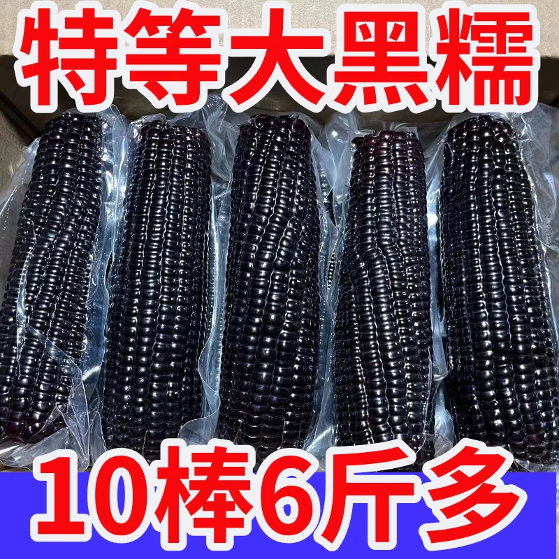 【试吃2棒】东北甜糯玉米既甜又糯真空包装黑糯玉米整箱10棒6斤