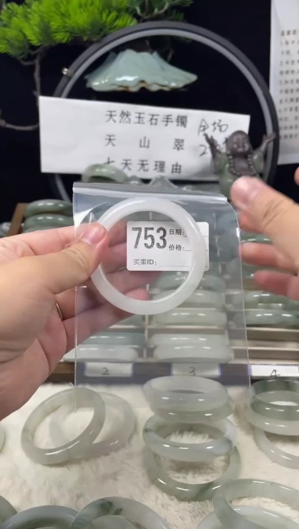 未镶嵌手镯石英质玉（天山翠）753