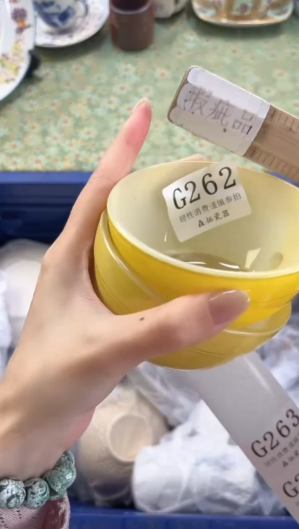 【闪购商品】瓷片          G262