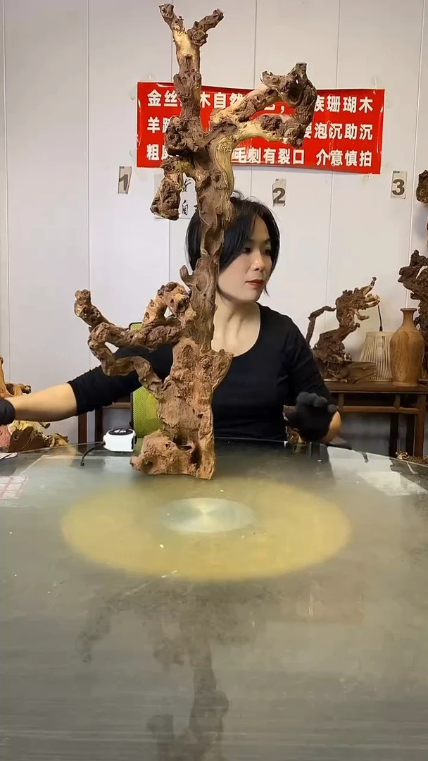 香榧木我**良金丝红木 羊蹄甲