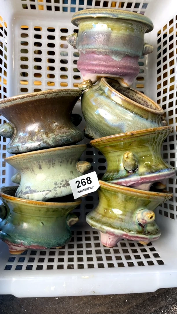 【闪购商品】陶268【年终大促福利套】