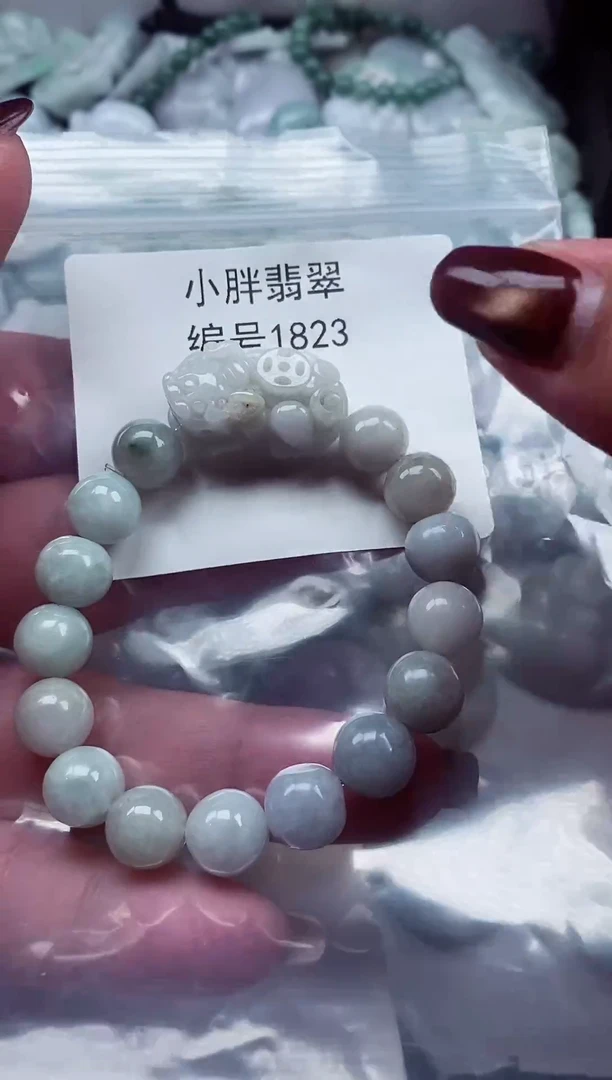 颈饰未镶嵌翡翠缅甸天然A货翡翠1823