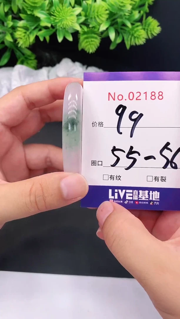 未镶嵌手镯翡翠2188