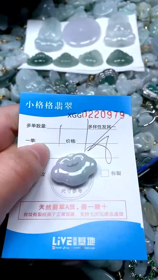 【闪购商品】翡翠颈饰未镶嵌闪购商品0220979