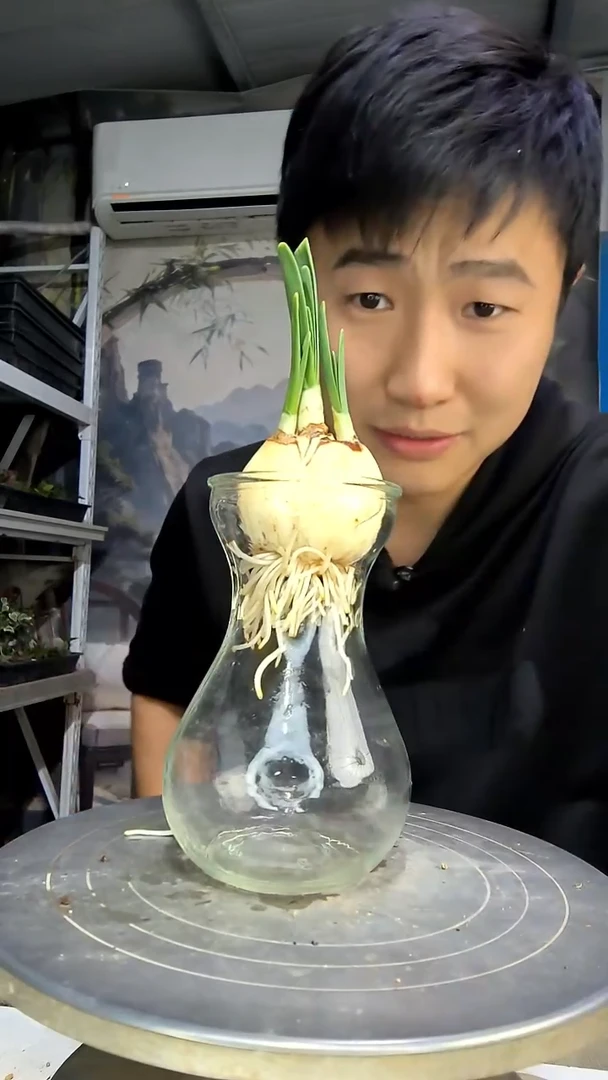 龍*达中青园艺一物一拍410