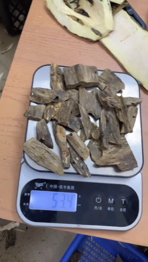 【闪购商品】沉香木沉香碎屑棋楠沉香 原料文创1