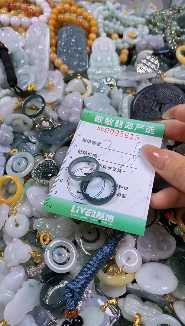 【闪购商品】翡翠颈饰未镶嵌闪购商品0095613多样性发其一