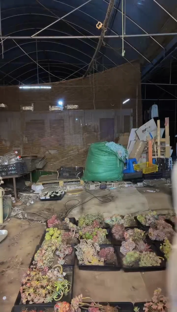 【闪购商品】25号一物一拍默认微瑕不售后