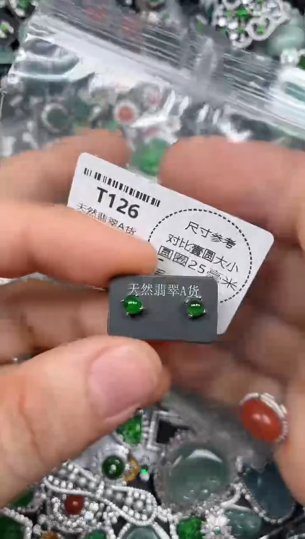 颈饰未镶嵌翡翠T126耳钉