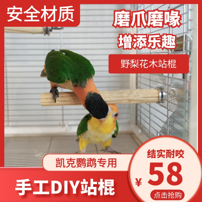 鹦鹉鸟笼站杆野梨花木站架磨爪凯克和尚中型鹦鹉手工diy玩具啃咬
