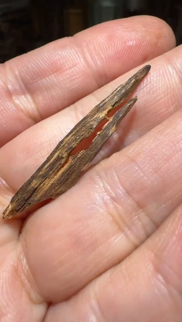 沉香沉香碎屑惠安0.4克