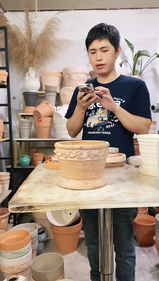 瑕疵无售后 红陶牛魔王的饭碗 1盆无托