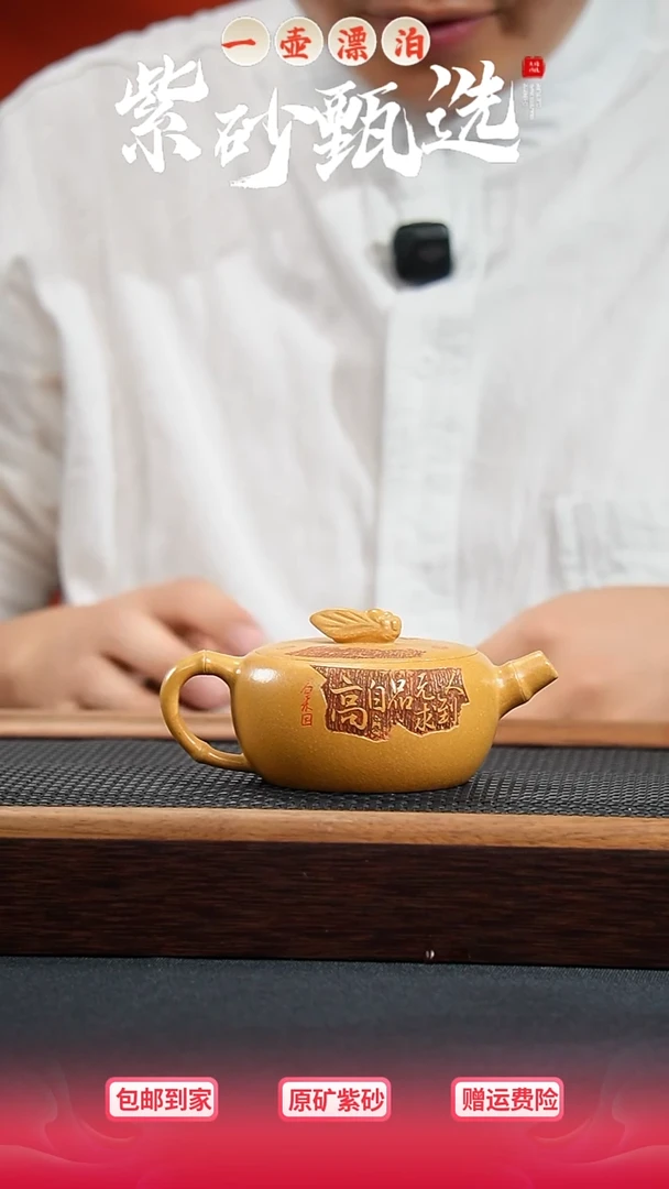 茶壶紫砂一壶漂泊紫砂壶