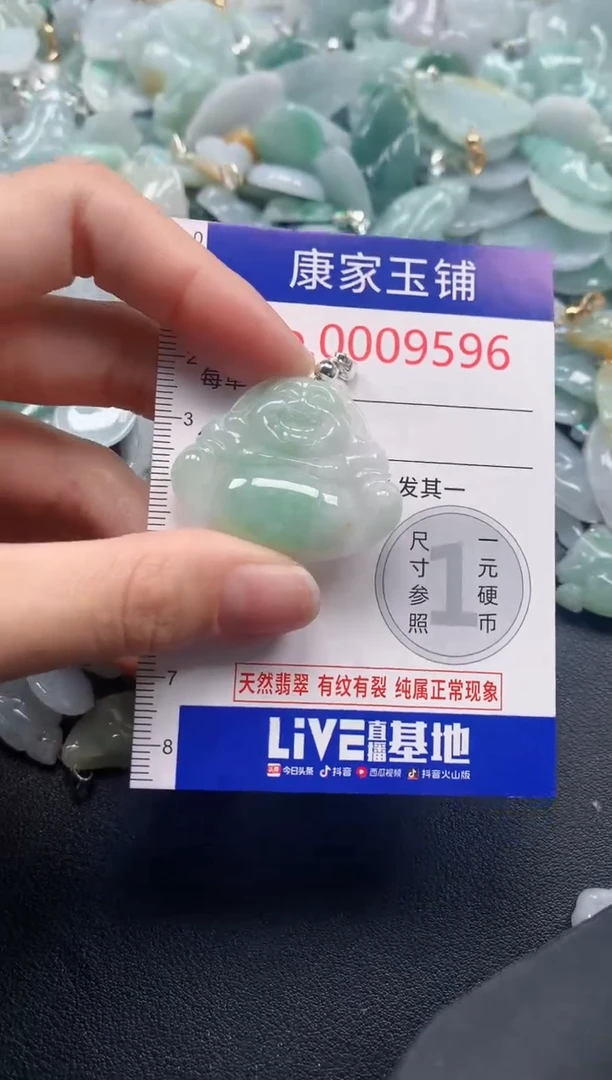 颈饰未镶嵌翡翠9596