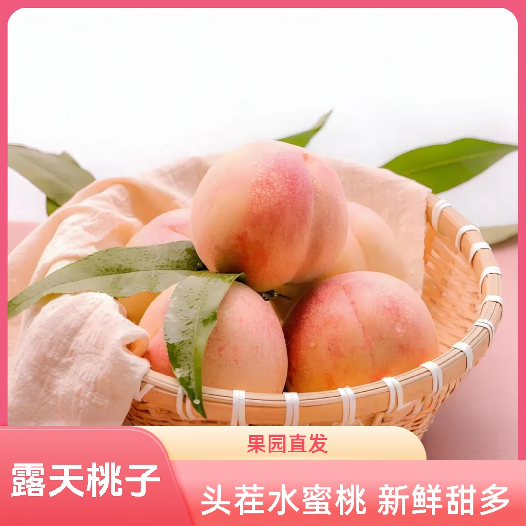 【苏熙果萌】露天头茬水蜜桃新鲜现摘鲜甜多汁果园直发大果