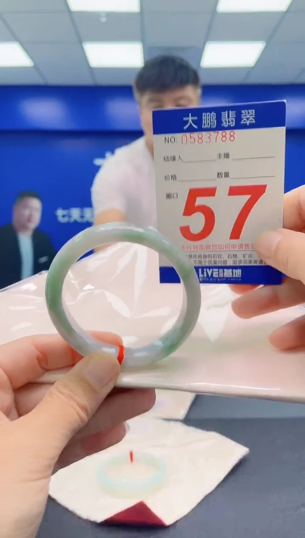 未镶嵌手镯翡翠AAAAAAAAA