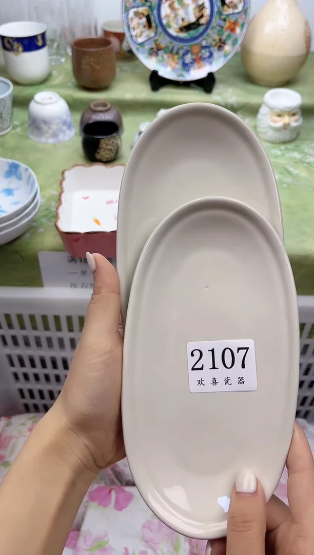 瓷片钠*           2107