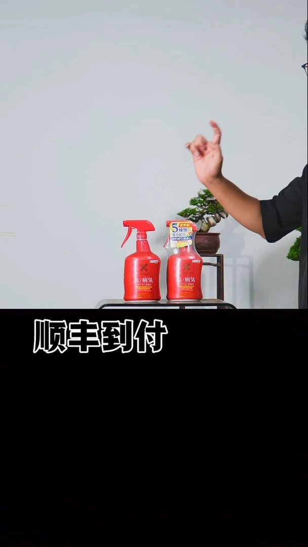 无花朵大红瓶一瓶