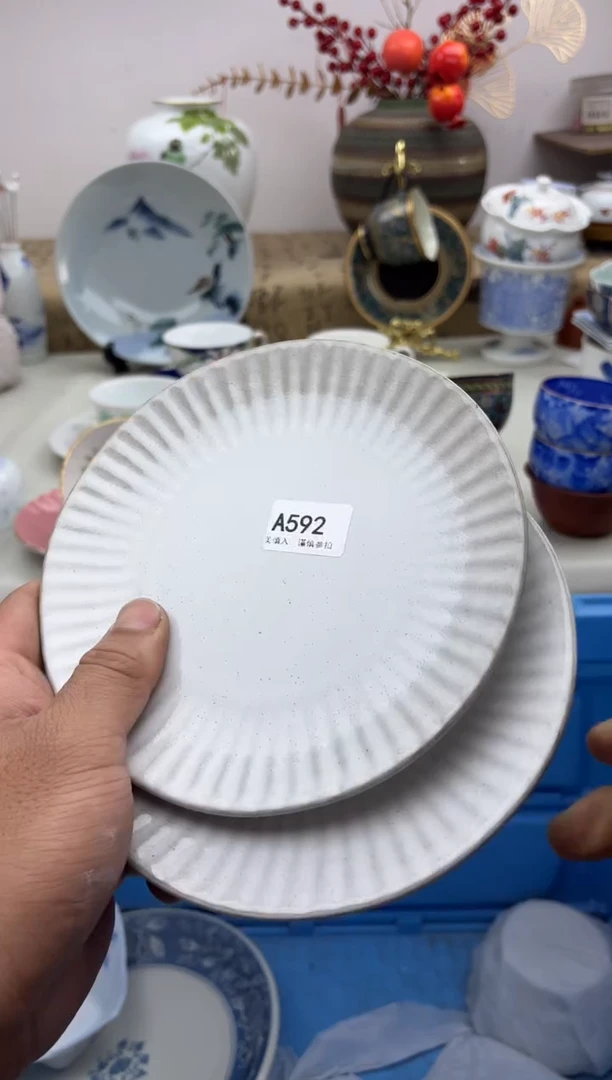 【闪购商品】碟A592..............
