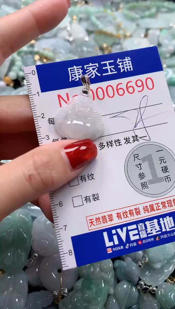 翡翠未镶嵌吊坠(不含链)6690