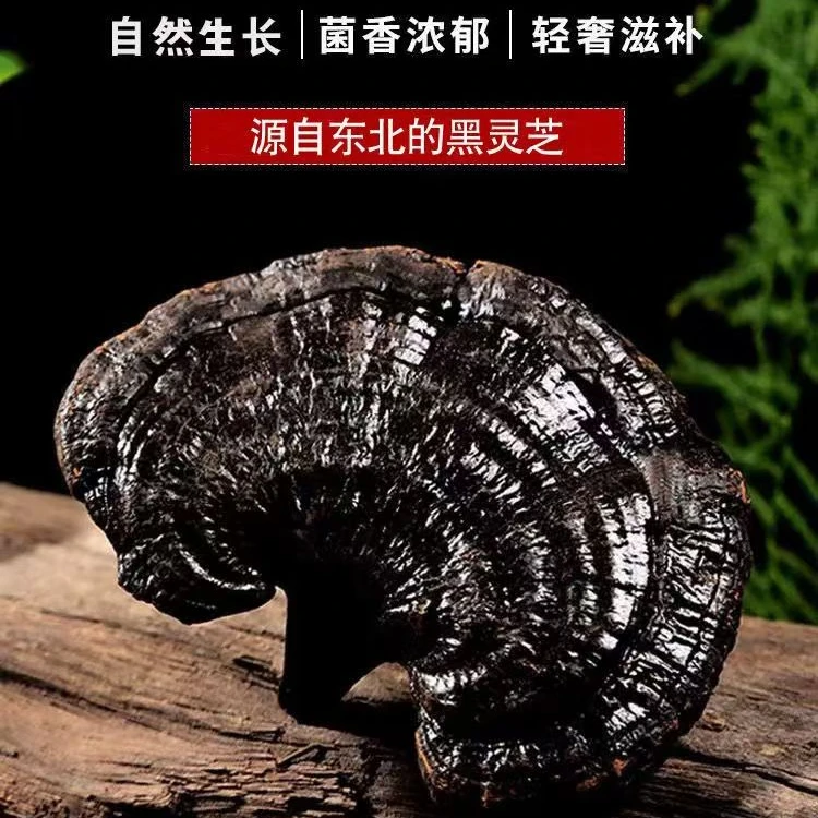 黑灵芝【到手100克】 独立包装 泡酒煲汤炖鸡煮水