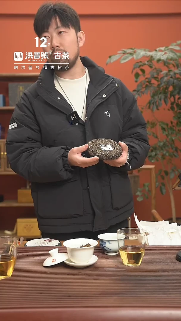 【闪购商品】23年头春野狼窝古树纯料饼茶357g