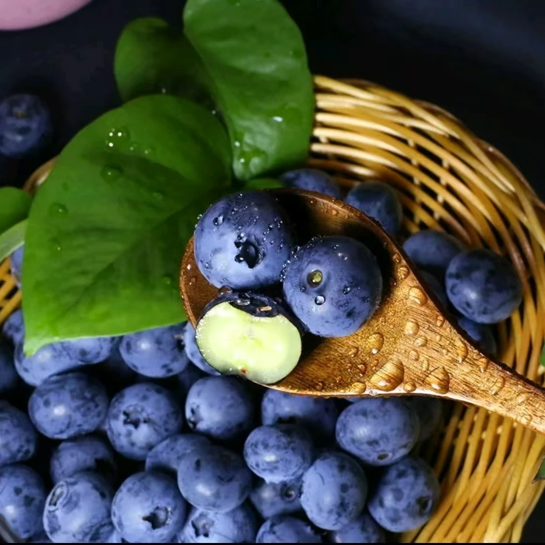 【一盒】一颗莓蓝莓17-18m125g云南省