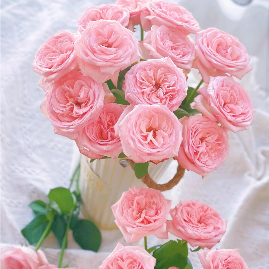 明日达【10支 荔枝香甜玫瑰 】鲜花任意两单顺丰送货上门鲜花小时达