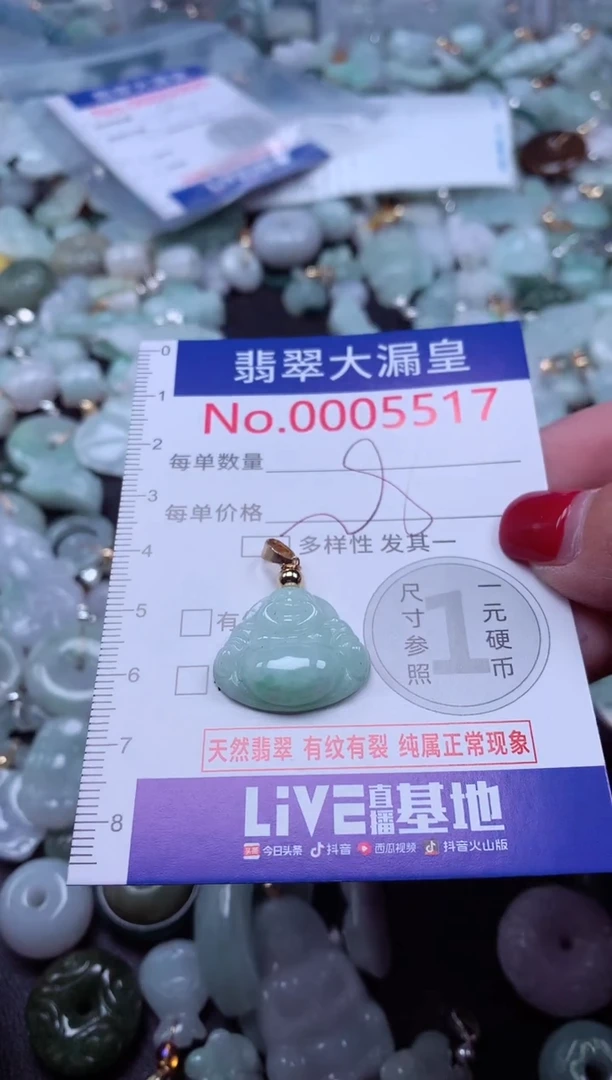 颈饰未镶嵌翡翠5517