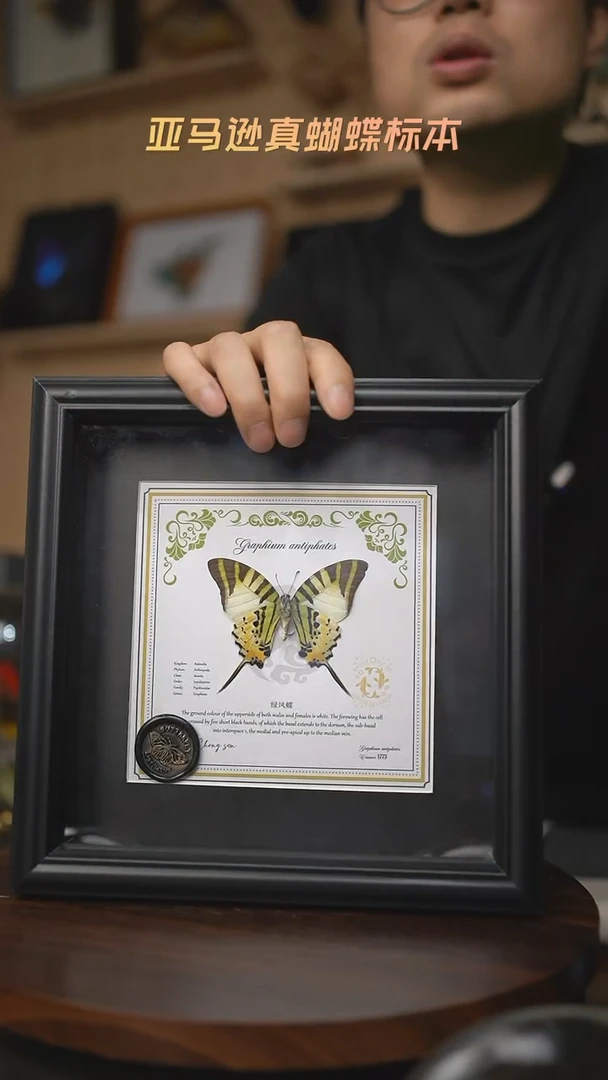 五指发财蝶双鱼款8寸欧式方框