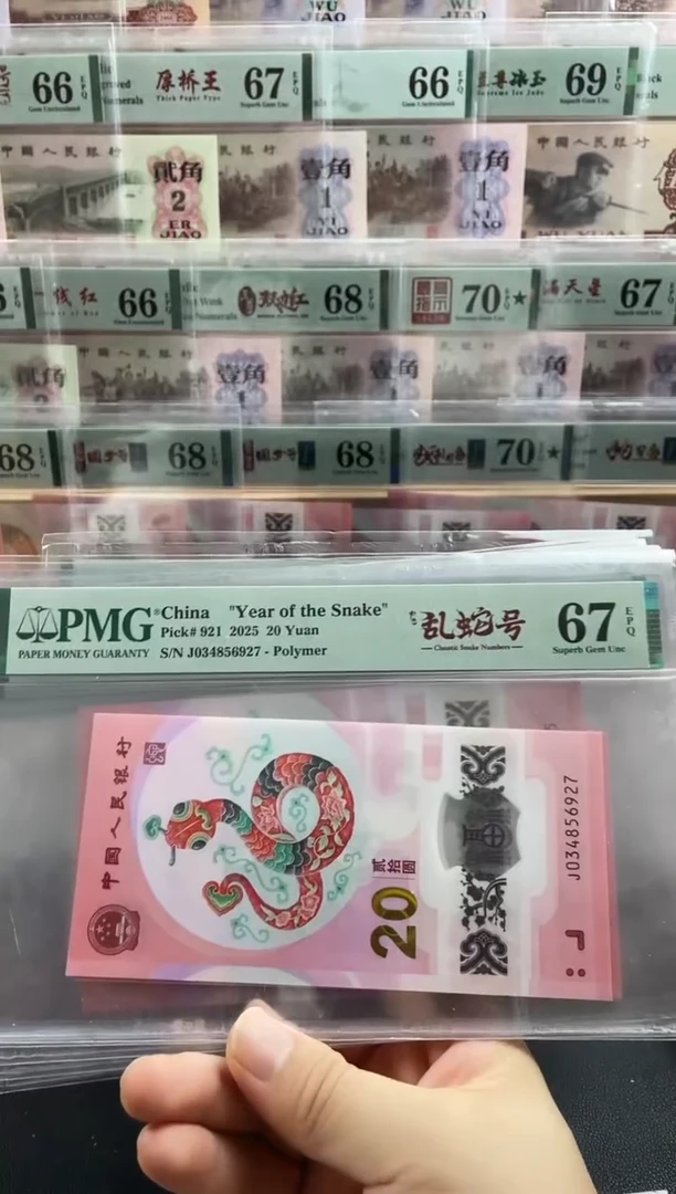 塑料蛇钞如意乱龙号67分