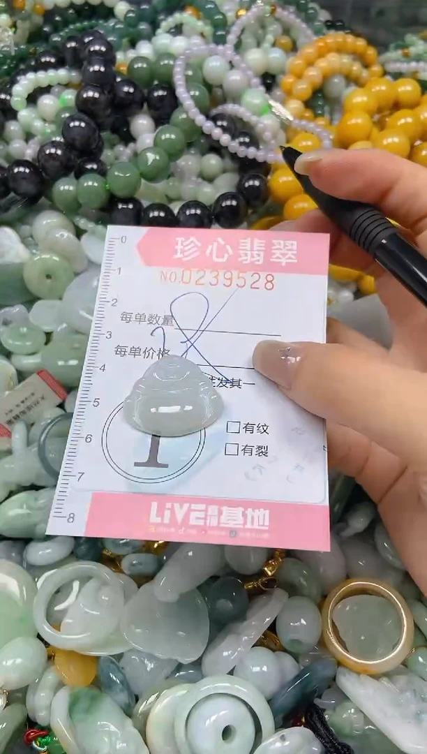 翡翠未镶嵌颈饰闪购0239528