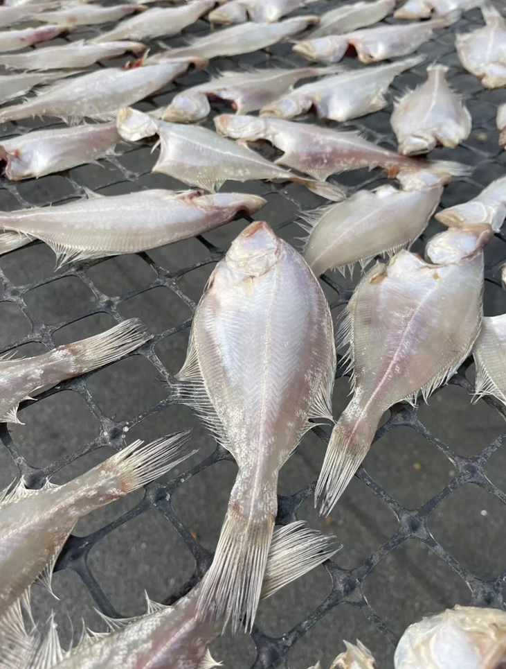 大连一卤鲜偏口鱼干/3斤/微咸