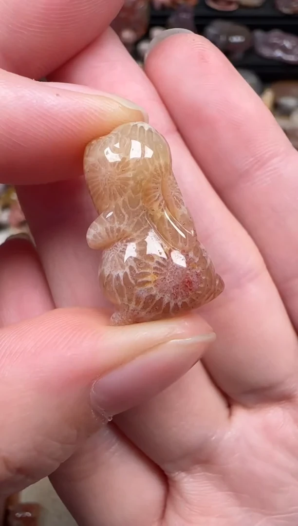 颈饰未镶嵌硅化珊瑚（珊瑚玉）129