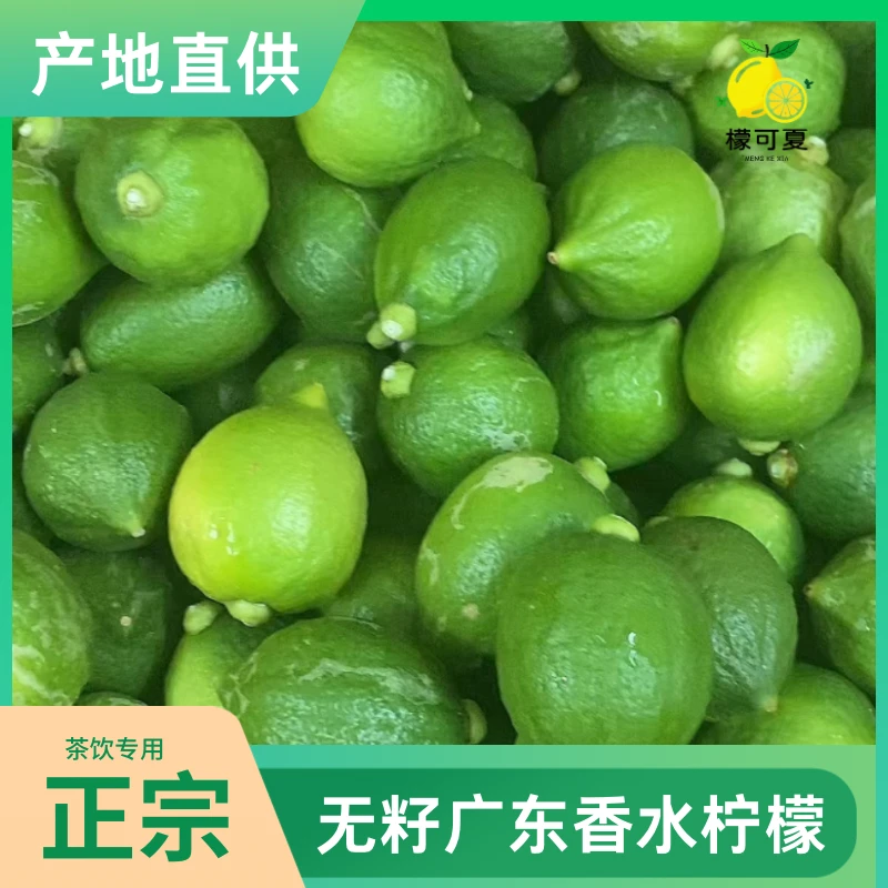 全网低价香水广东柠檬奶茶店商用香水柠檬正宗无籽二级香水柠檬