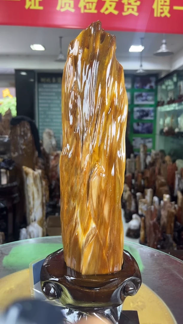 硅化玉珠宝奇石未镶嵌缅甸天然树化玉摆件