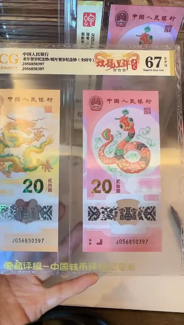 塑料2025龙蛇全同号一对啊啊啊啊啊爱藏