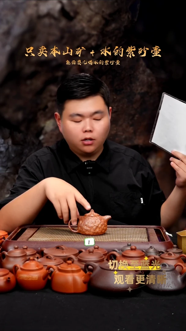 茶壶紫砂龙窑柴烧 黑墩头 供春
