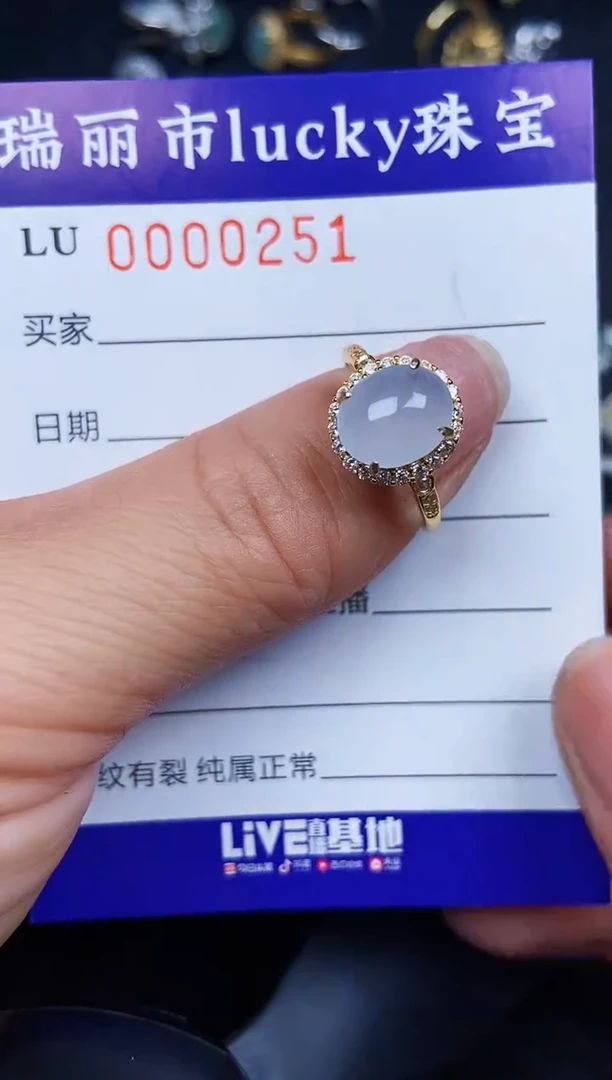 翡翠银S925镶嵌颈饰0251