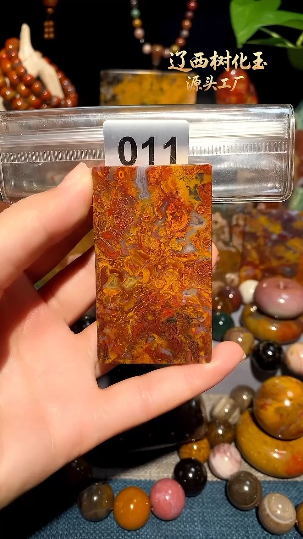 未镶嵌-硅化玉天然北票硅化玉吊坠