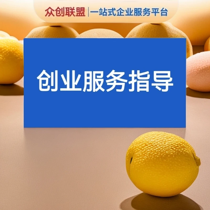 创业服务指导、一对一手把手辅导、一站式专业企业服务平台
