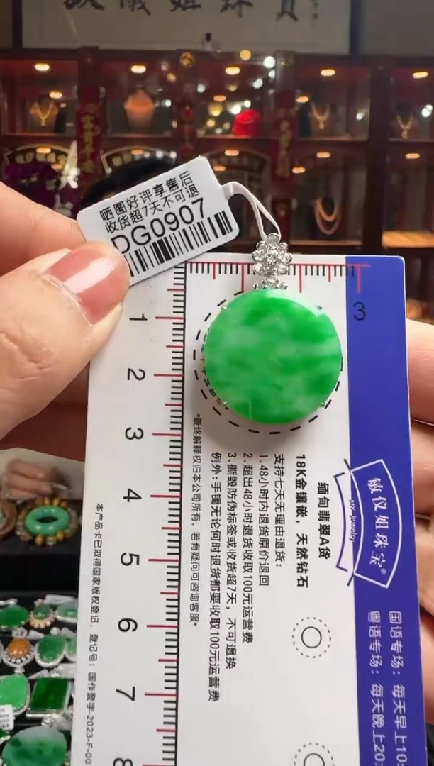 【闪购商品】翡翠颈饰18K金镶嵌DG0907冰绿无事牌