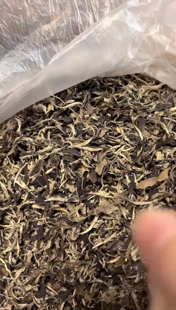 壶777号茶【白云推荐】月白1000克