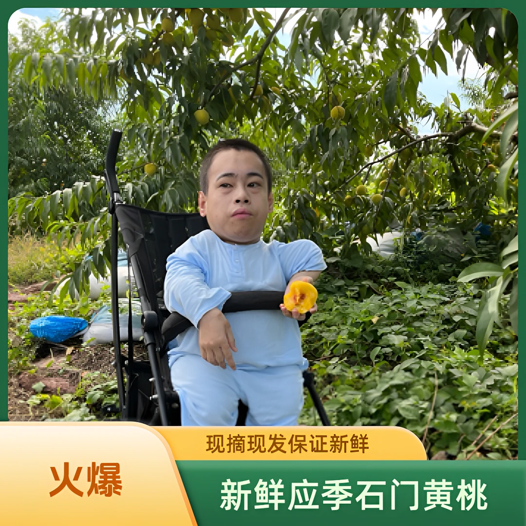 助农产品 石门炎陵黄桃 应季水果 现摘现发 保证新鲜