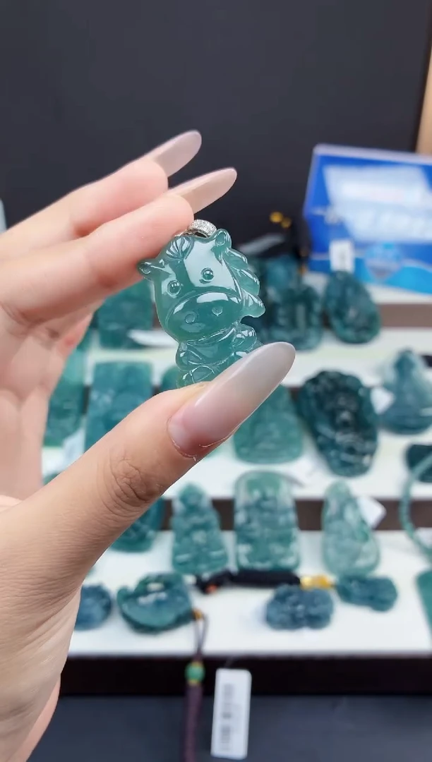 颈饰未镶嵌翡翠DLZ25111707